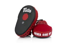 Fairtex(フェアテックス) パンチングミットの個人輸入代行通販