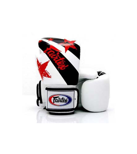 Fairtex(フェアテックス) グローブ 14オンスの個人輸入代行通販
