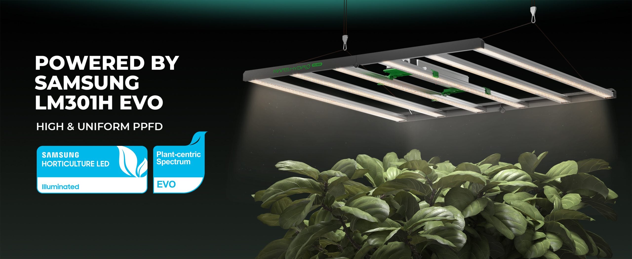 2024モデル MARS HYDRO FC8000-EVO 800W 照射範囲150cm × 150cm