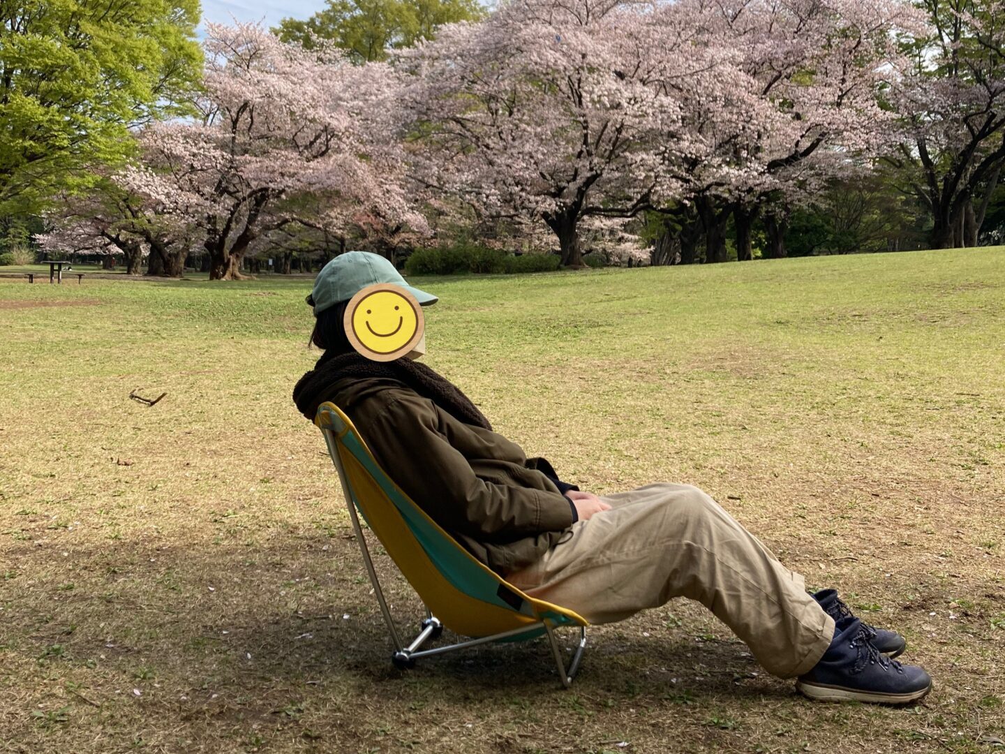 ゆるキャン△】エーライト メイフライチェアが復活したので買ってみた