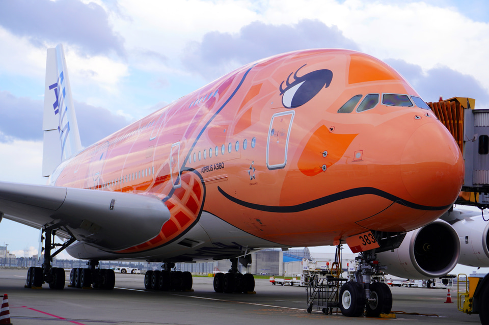 フライングホヌ✕3色セット ／a380 20cm フライングホヌ✕3色セット