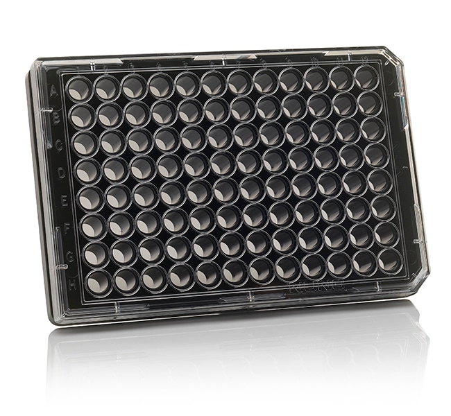 Thermo Scientific™ Nunc™ 96-Well Optical-Bottom Microplate, black