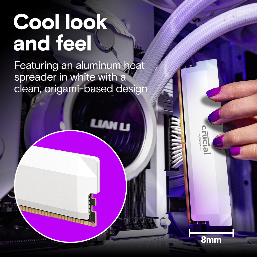 Crucial Pro DDR5-6400 CL38 32GB Kit (16GBx2) UDIMM: OC Gaming