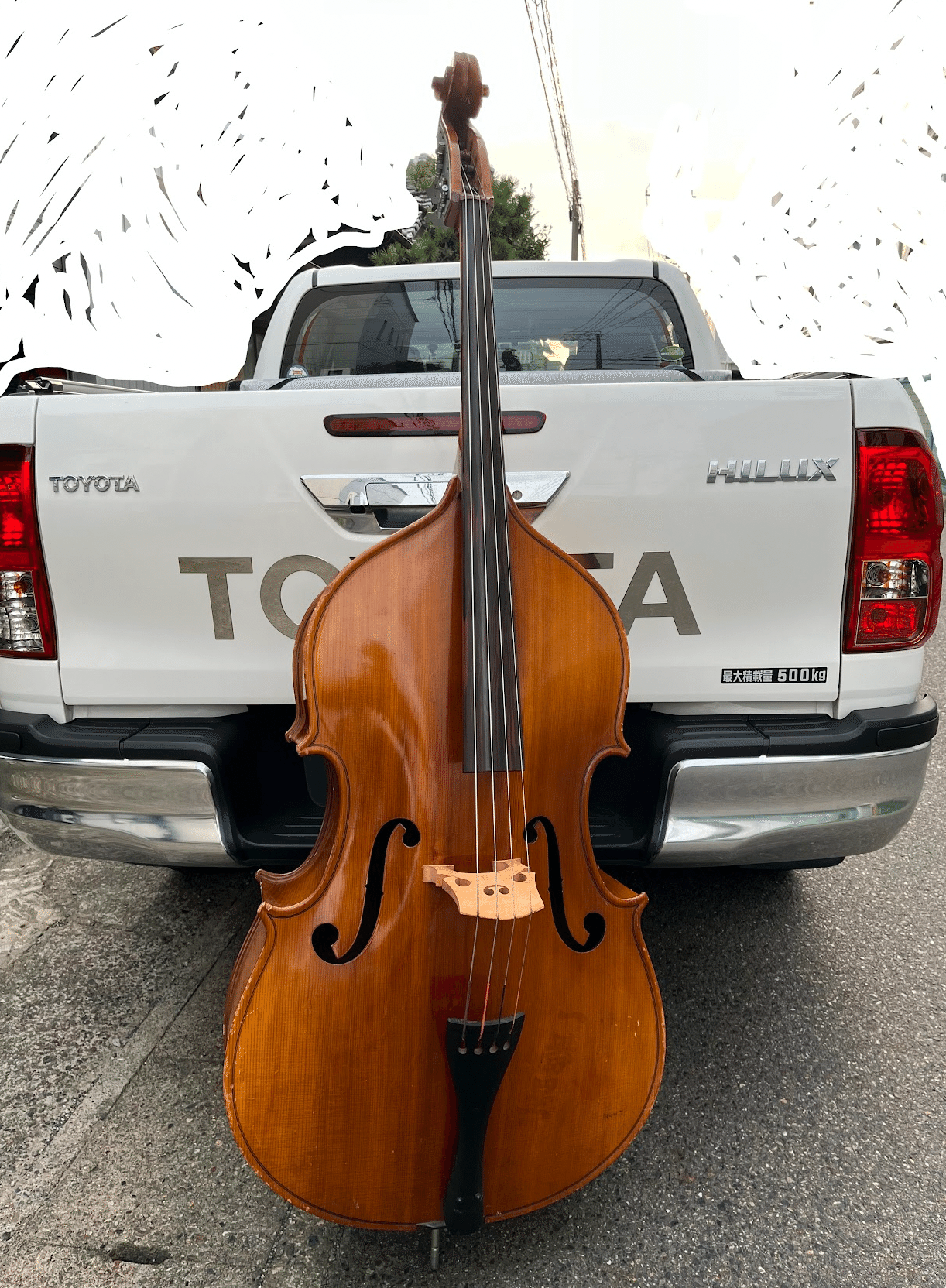 コントラバス(ジャンク)購入！｜octopus