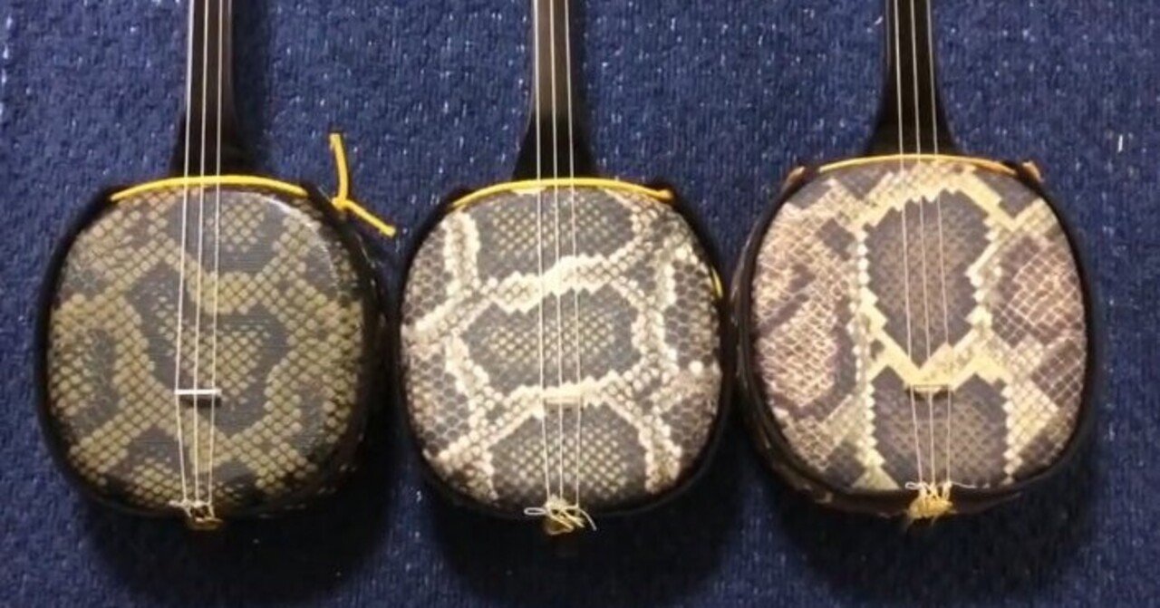 三線「人工皮」のランクと音の関係｜左大文字堯司