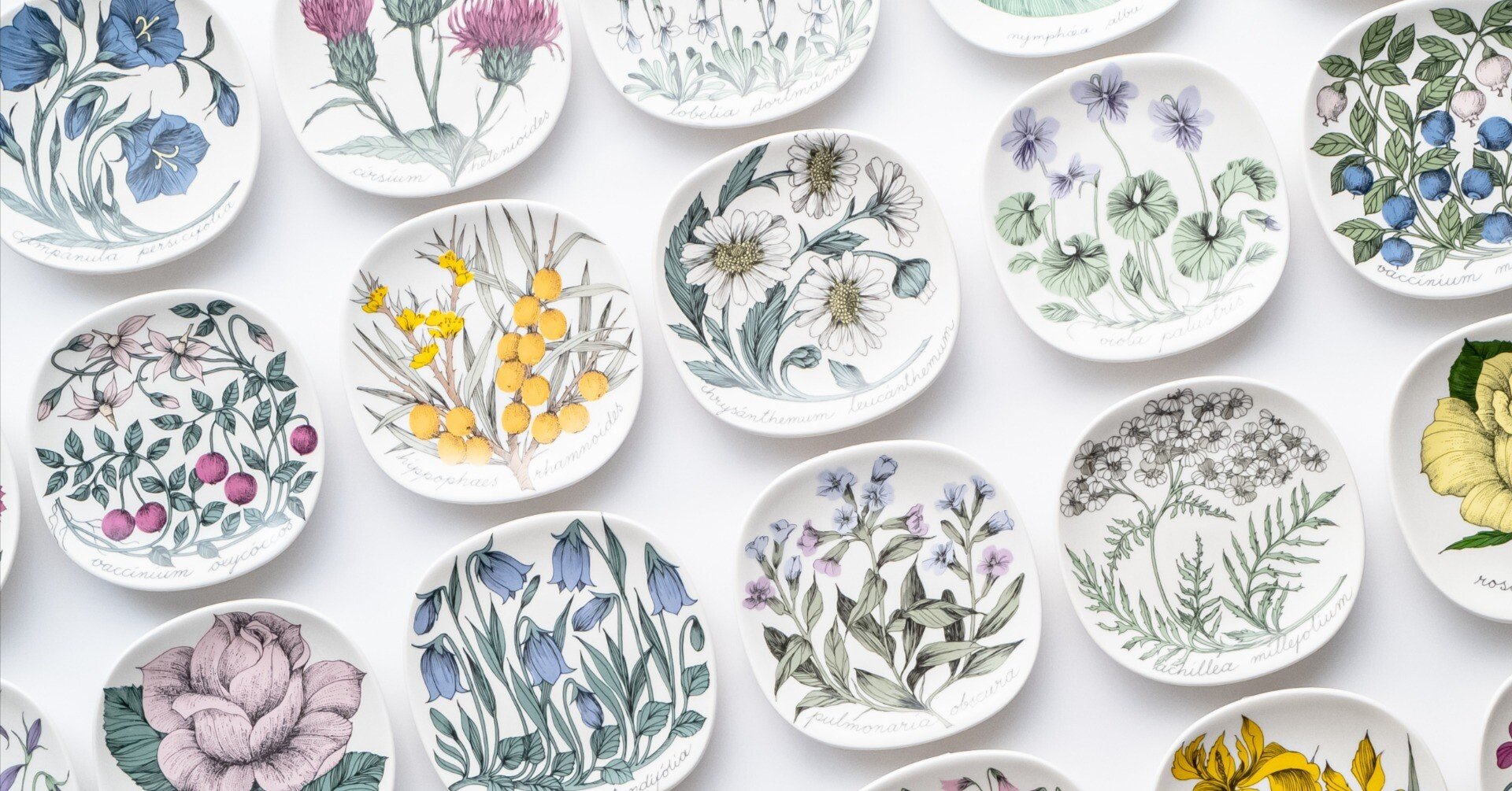 Botanicaシリーズ｜lumikka