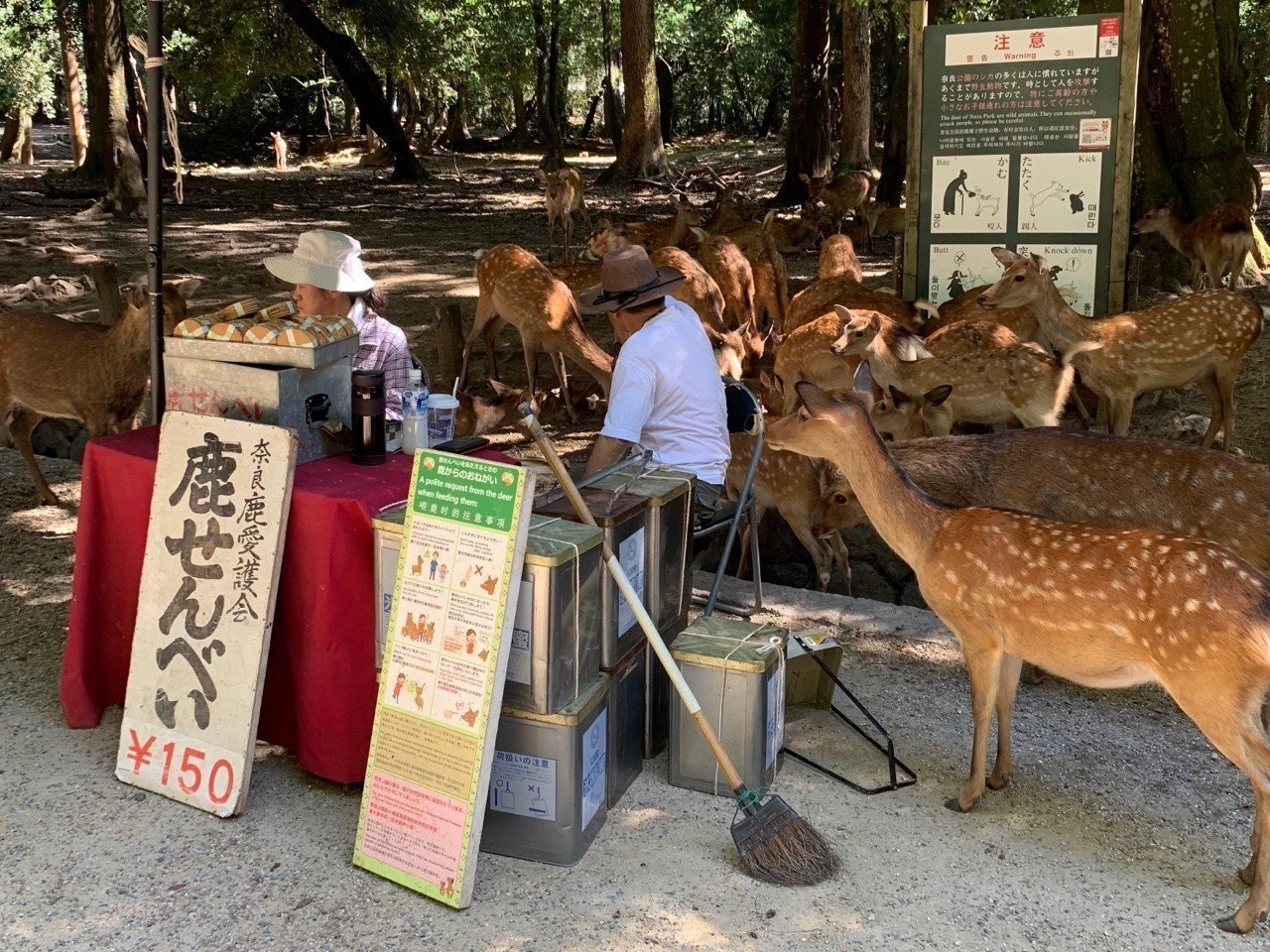 石灯籠の基本モデル｜平屋私庭日記＃27｜ライツ社