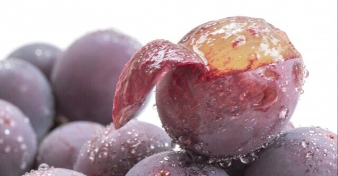 モダン引退】ルビーストーム【デッキまとめ売り】 モダン引退】ルビー