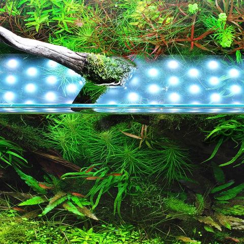 ADA AQUASKY RGB II 60 LED lighting system (108W) – Aqua Forest