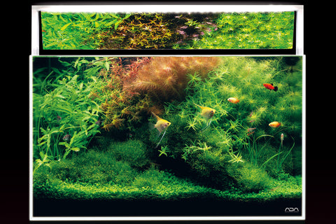 ADA MIRROR UNIT AQUASKY 601/602 – Aqua Forest Aquarium
