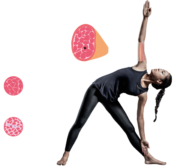 体組成計 インナースキャンデュアル RD-914L/RD-915L/RD-916L/RD-917L