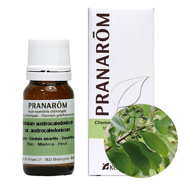 プラナロム サンダルウッド｜アロマ×アロマ