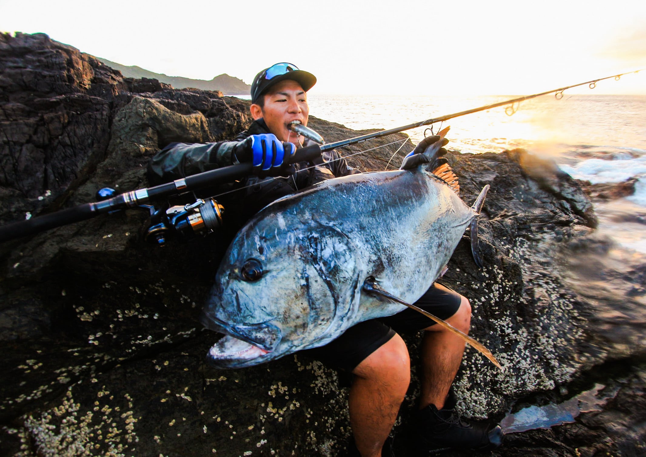 Toucher 185 (タッチャー185) | RIH / ROWER