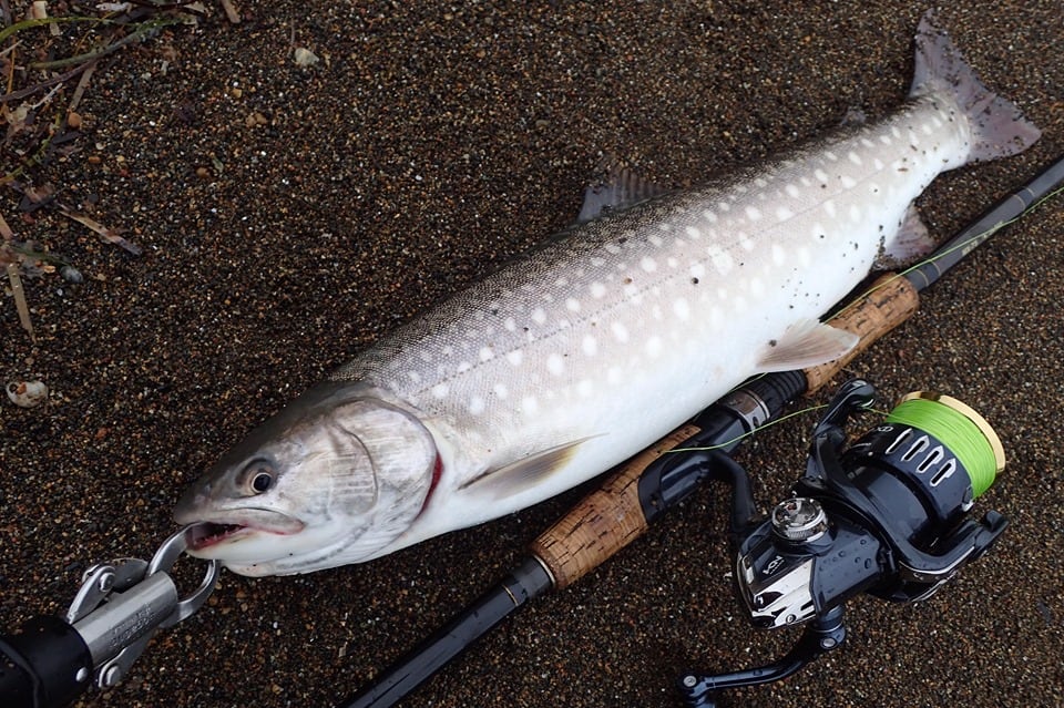 MX-7Sどう使う？健ちゃん編（後半） | Monster BASE