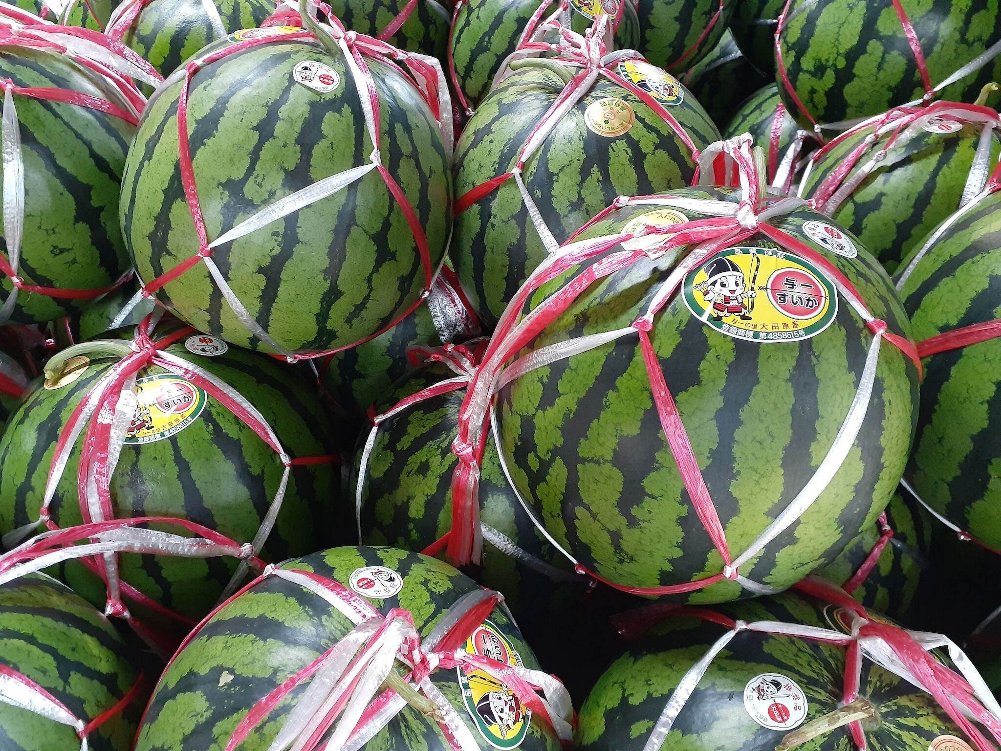 2025年8月15日（金）テレビ朝日「ザワつく!金曜日」で与一西瓜がテレビ