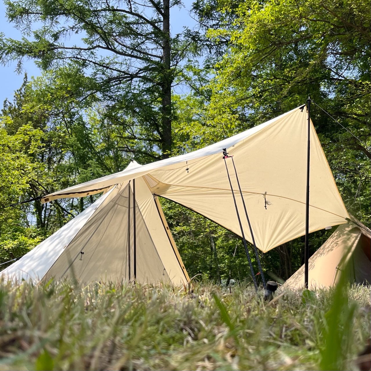 テンマクデザイン PANDA VC TARP パンダvc タープ Amazon | テンマク