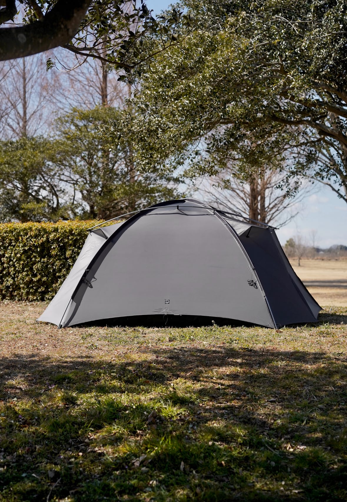 TFS STARS 3 senior ash | CAN FEEL