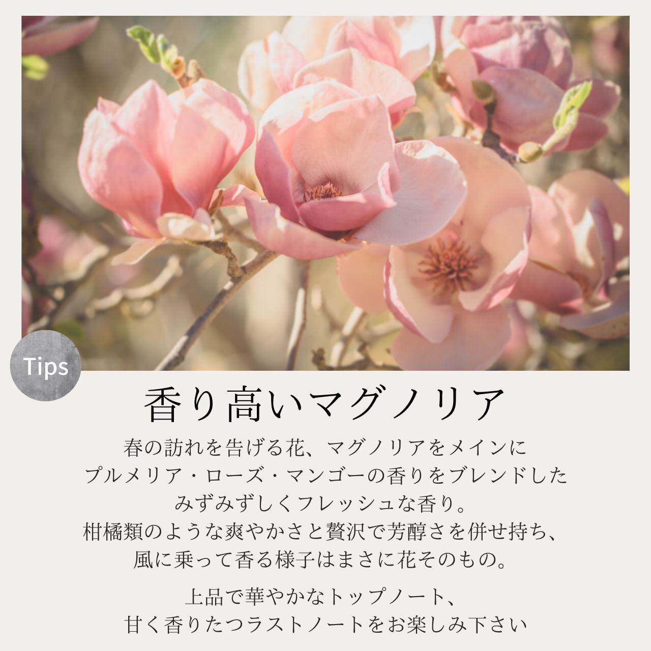 L/】シャンプー＆トリートメントSET 11,000円 →6,960円 | LOREN｜頭皮