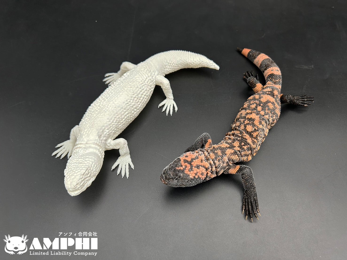 着色なし】アメリカドクトカゲ 原寸大レプリカ | アンフィ合同会社