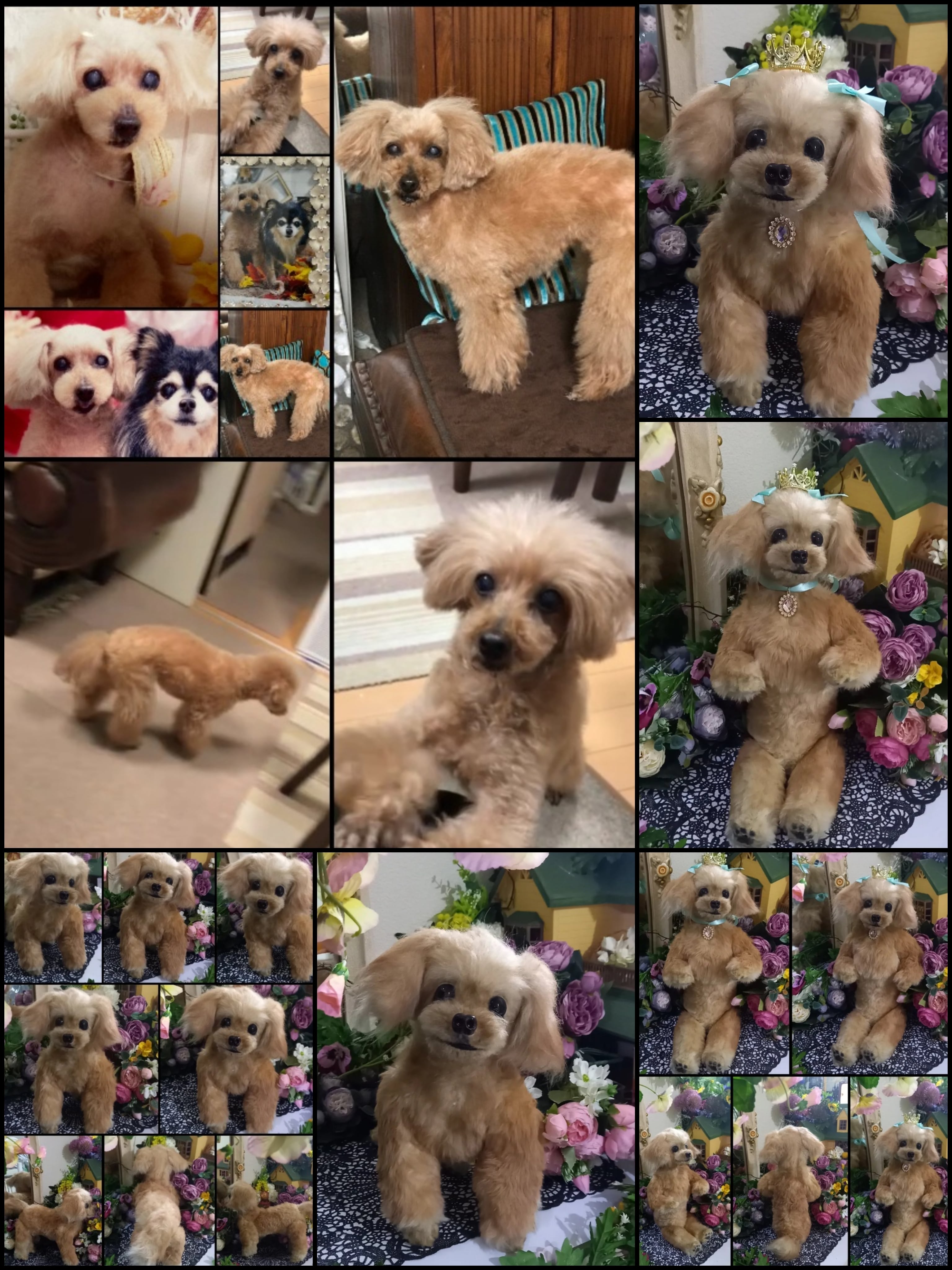 愛犬 オーダー♥️ うちの子 実物サイズ 等身大 ぬいぐるみ 羊毛