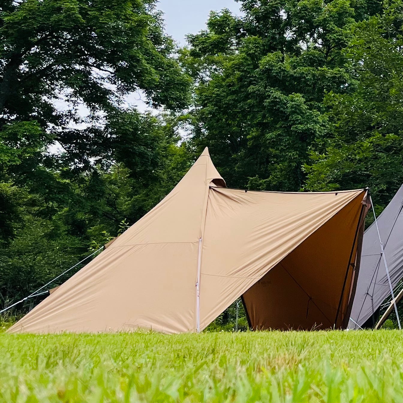 新品未使用 サーカスTC DX サンドカラーバージョン テンマクデザイン