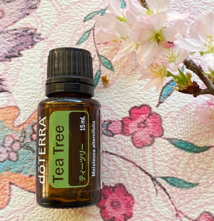 リピート ame-mo】ドテラ ティーツリー ヤローポム 15ml リピート ame