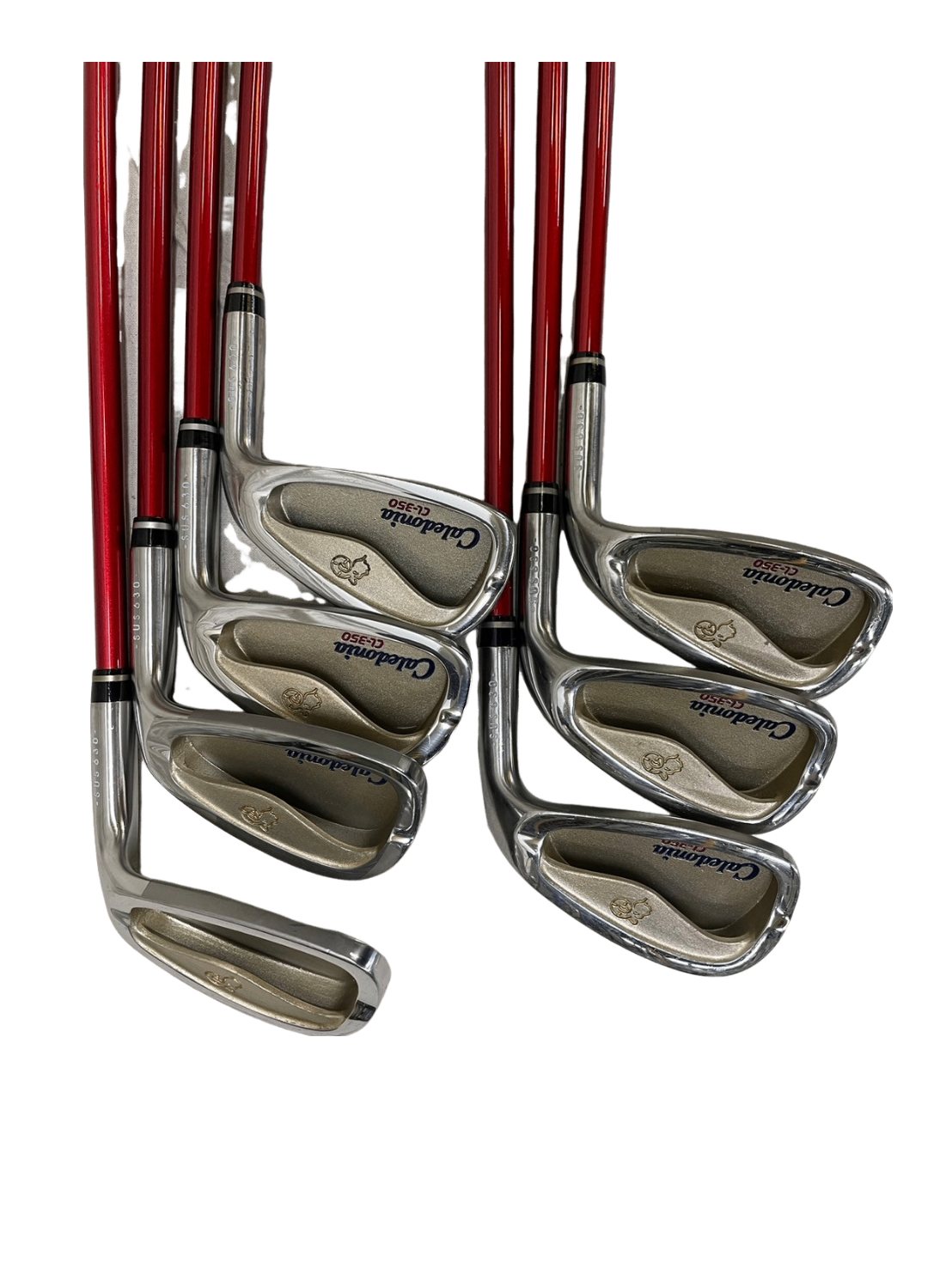 Caledonia 他 レディースゴルフ 超初心者向け9本最低限のセット