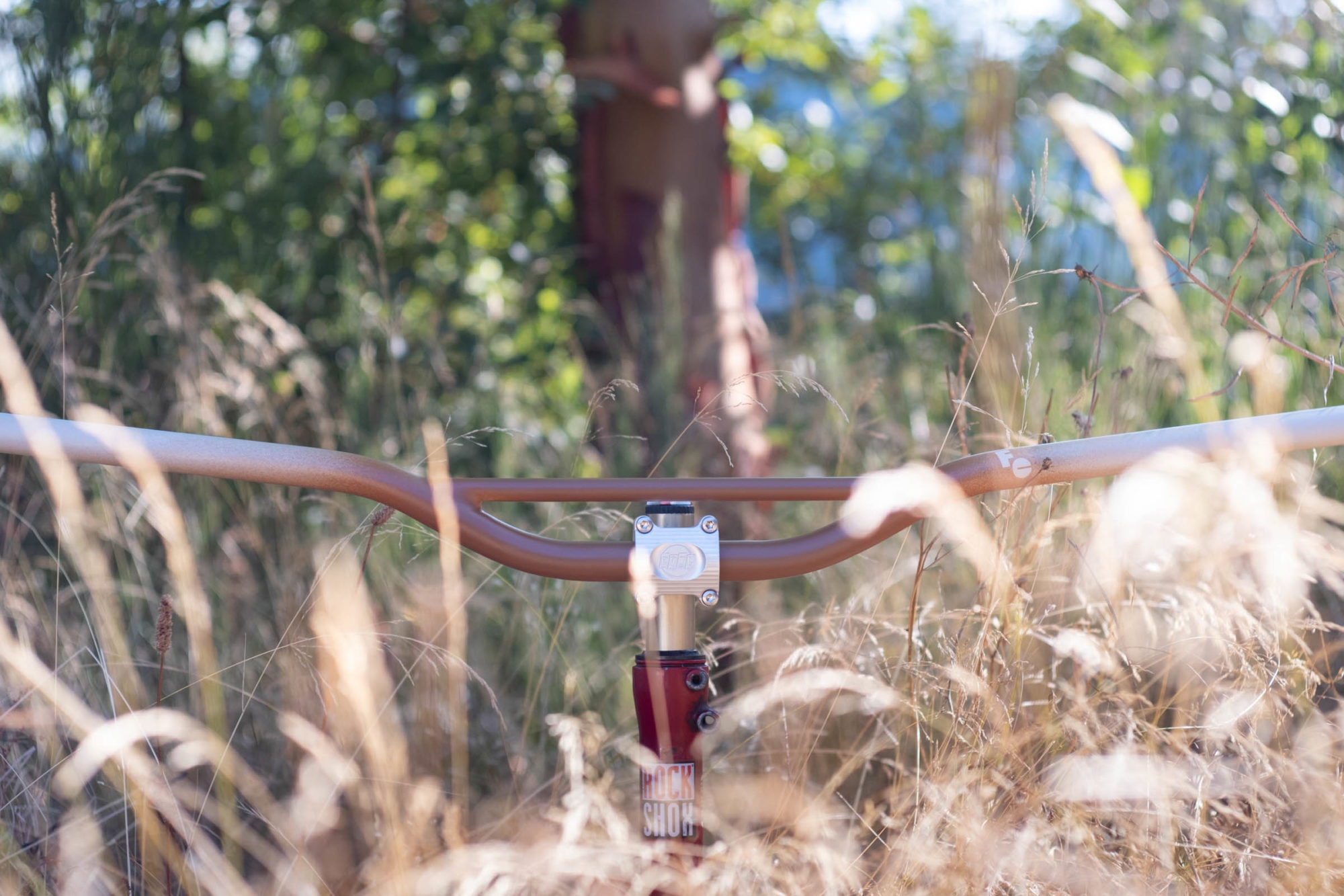 Preorders for the Forager Bolete Fade Oyster Bars Open Today