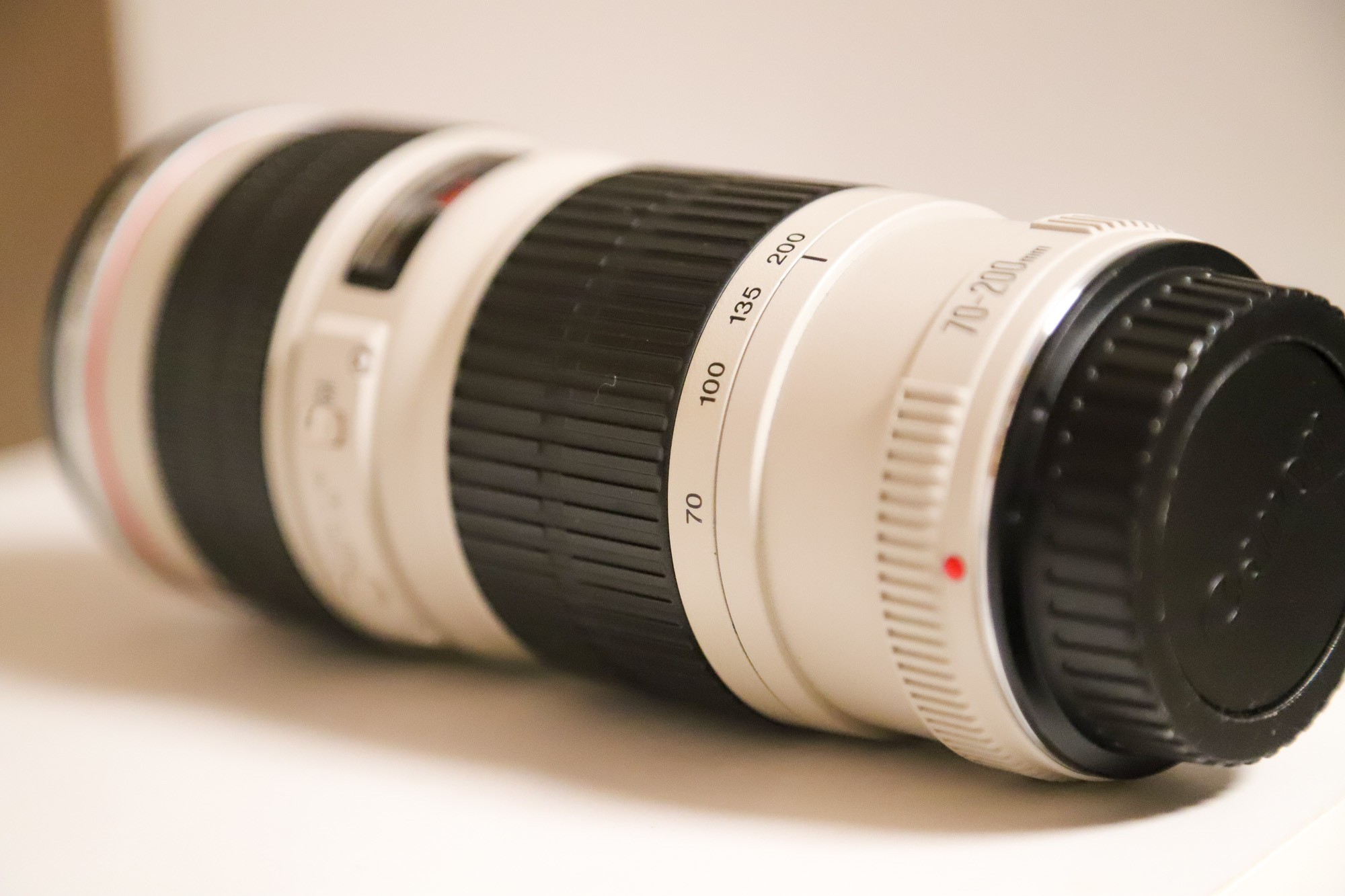 望遠ズームレンズ】CANON EF70-200mm F4L USMを導入した感想【作例