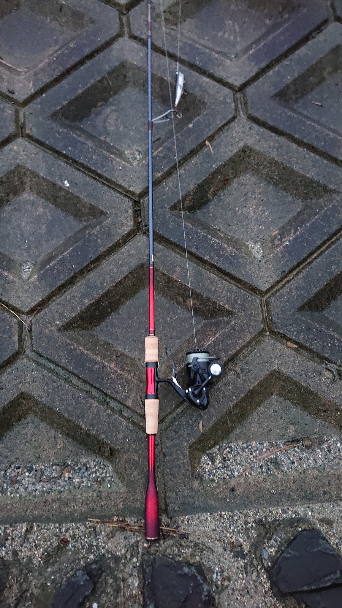 冬春シーバスに最強のロッド！シマノ '20ワールドシャウラ 2750FF-2 の