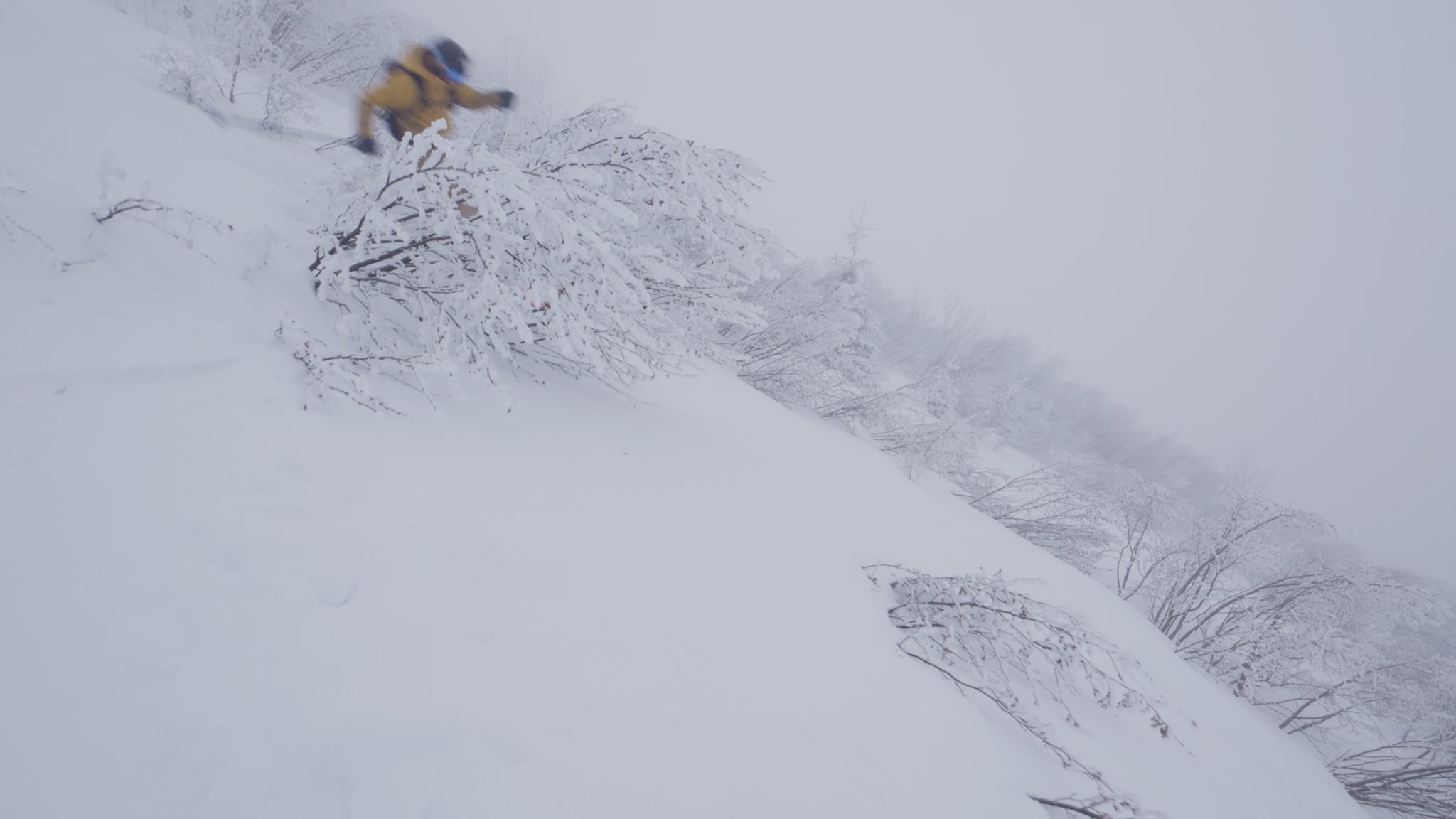 Expedition 3 Ski Poles – Black Diamond