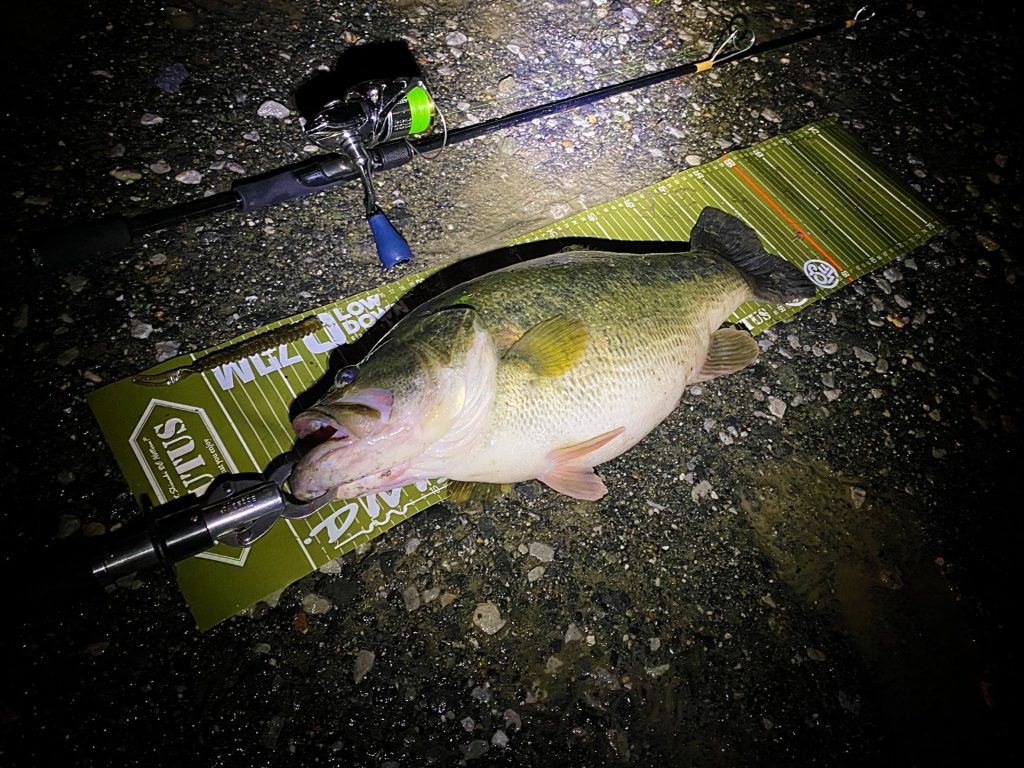 ジグヘッドスイミング専用ロッド【MIDRIDER】琵琶湖で生まれたBRUTUS初