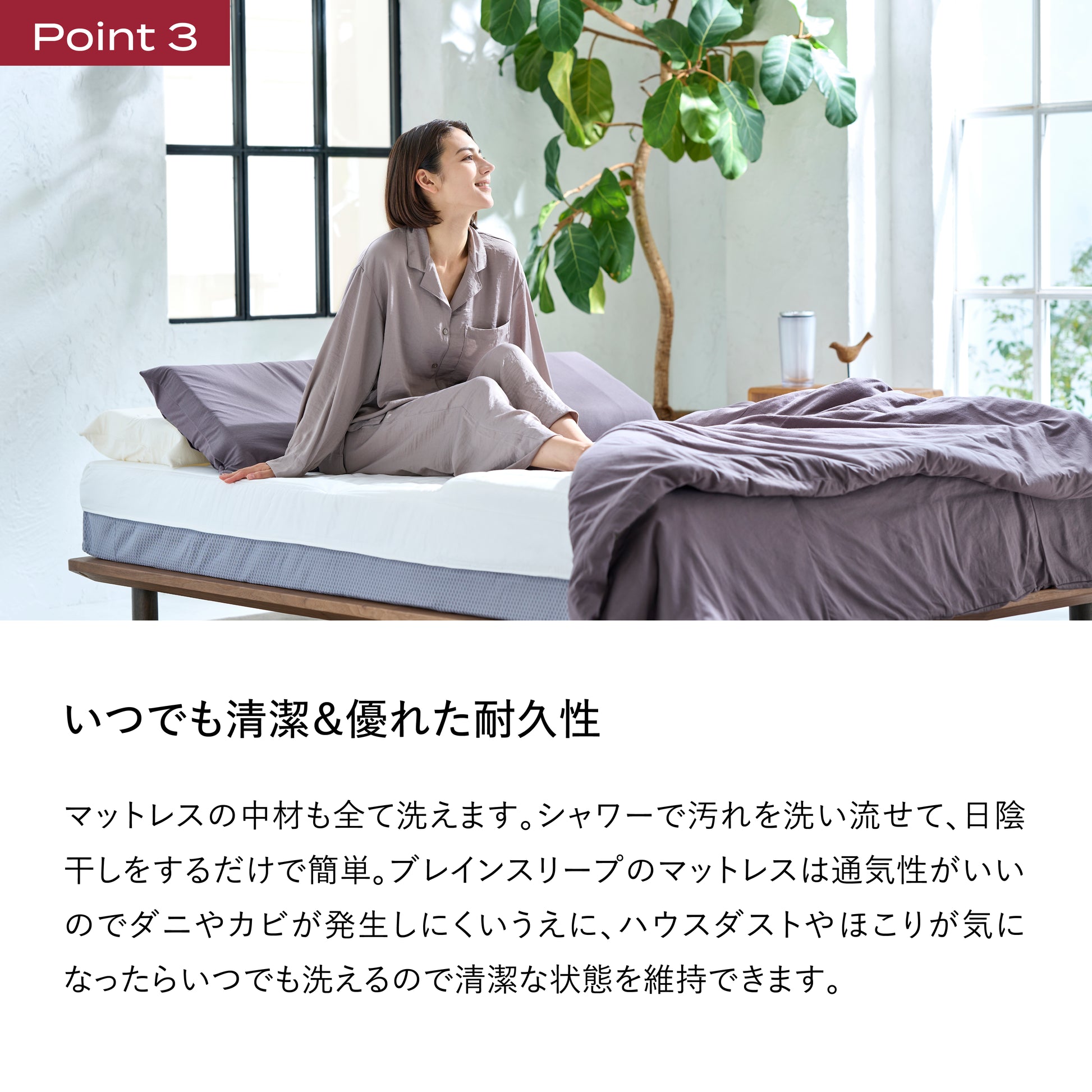 tmn_Premium_4.webp?v=