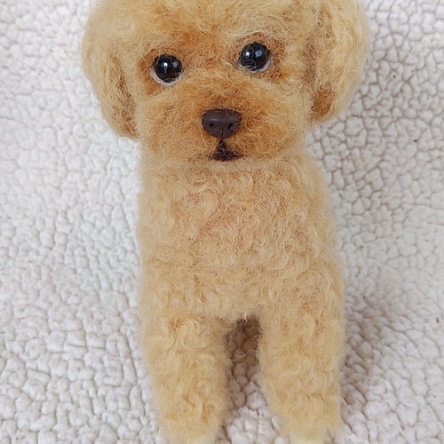 うちの子❤トイプードル（お座り＆伏せ） 羊毛フェルト lovelypink