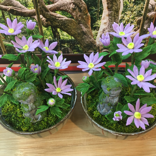 ミニチュア盆栽〈大原菊〉 盆栽 AB-Hachi Garden 通販 14010877