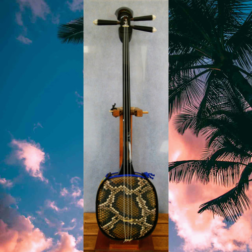 No.20】沖縄三線 人工皮〈蛇柄プリント・薄め〉 楽器・アクセサリ 沖縄