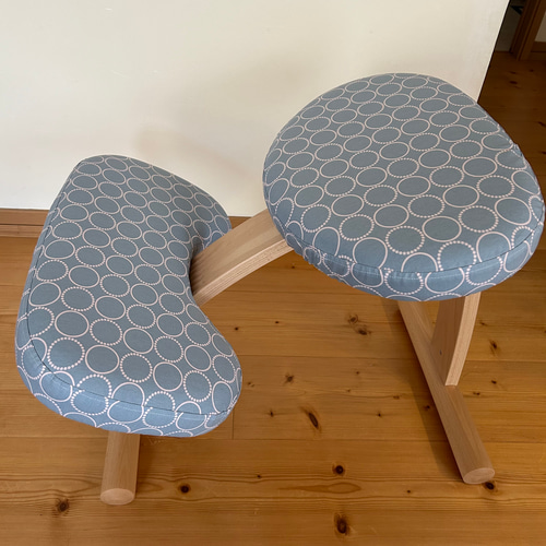 バランスラボ社 バランスチェア バランスイージー カバー 椅子