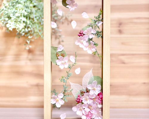 6a52487031a16fad5eaa1495d82b28