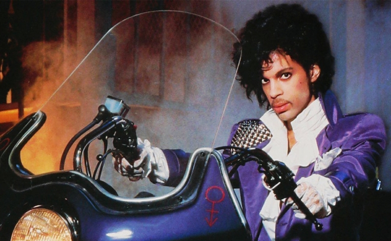 レバンゲルボワ】1992 パープルナイト（ドミニク・ロピオン） | カイエ