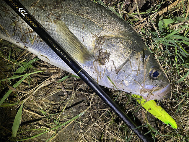 ダイワ シーバスロッド モアザン 96ML/M・J(2ピース)【大型商品】(96ML