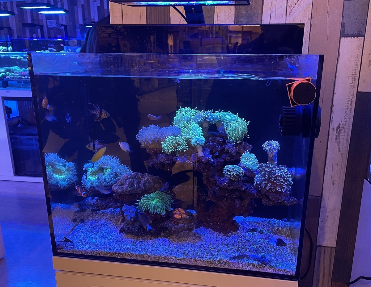 オプティマス リーフナノ2」の調光設定 - 淡水海水30cm生活