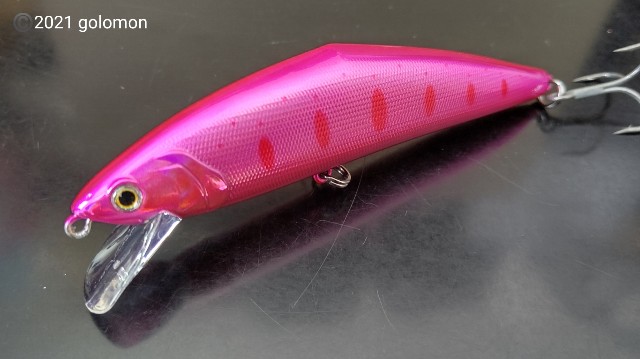 SMITH D-コンタクト110着弾！ - 釣りバカに捧げる日記