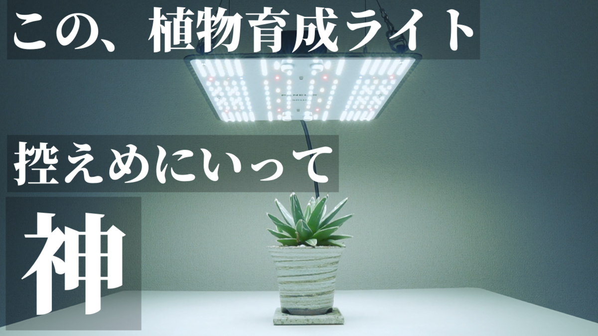 神！植物育成用パネルライト「PANEL X」の魅力 - RxFarm