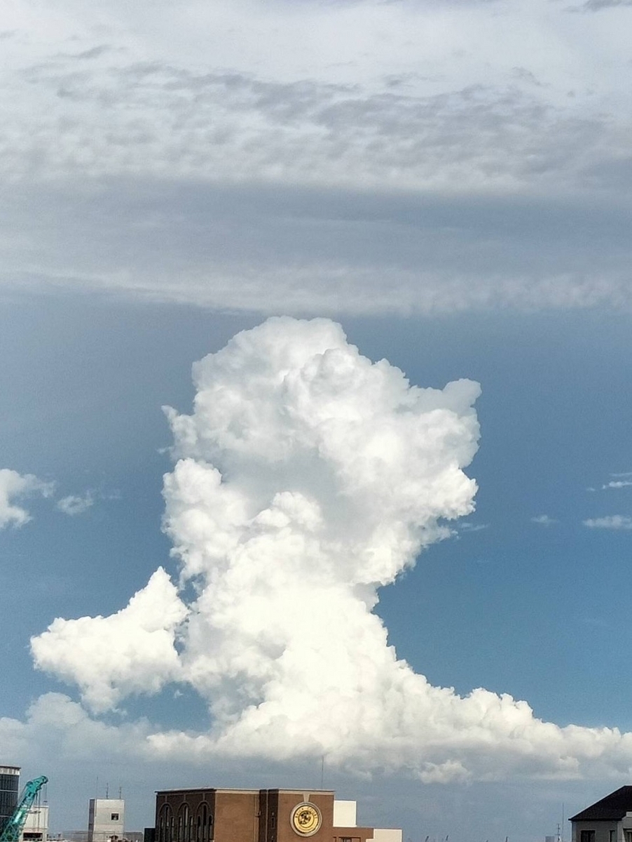 真っ白い雲がもくもくとたち登る「入道雲」を発見！夏の風物詩をカメラ