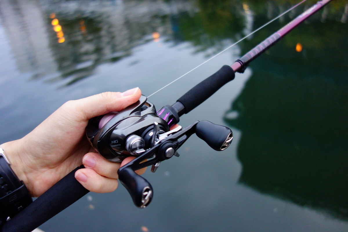 ダイワ ハートランド リベラリスト 763M+RSB-23 インプレ | 釣りと釣具