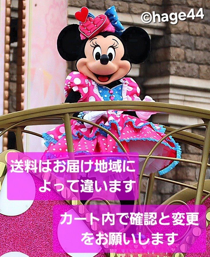 ミニーのファンダーランド2026 ぬいぐるみチャーム TDL (Disney