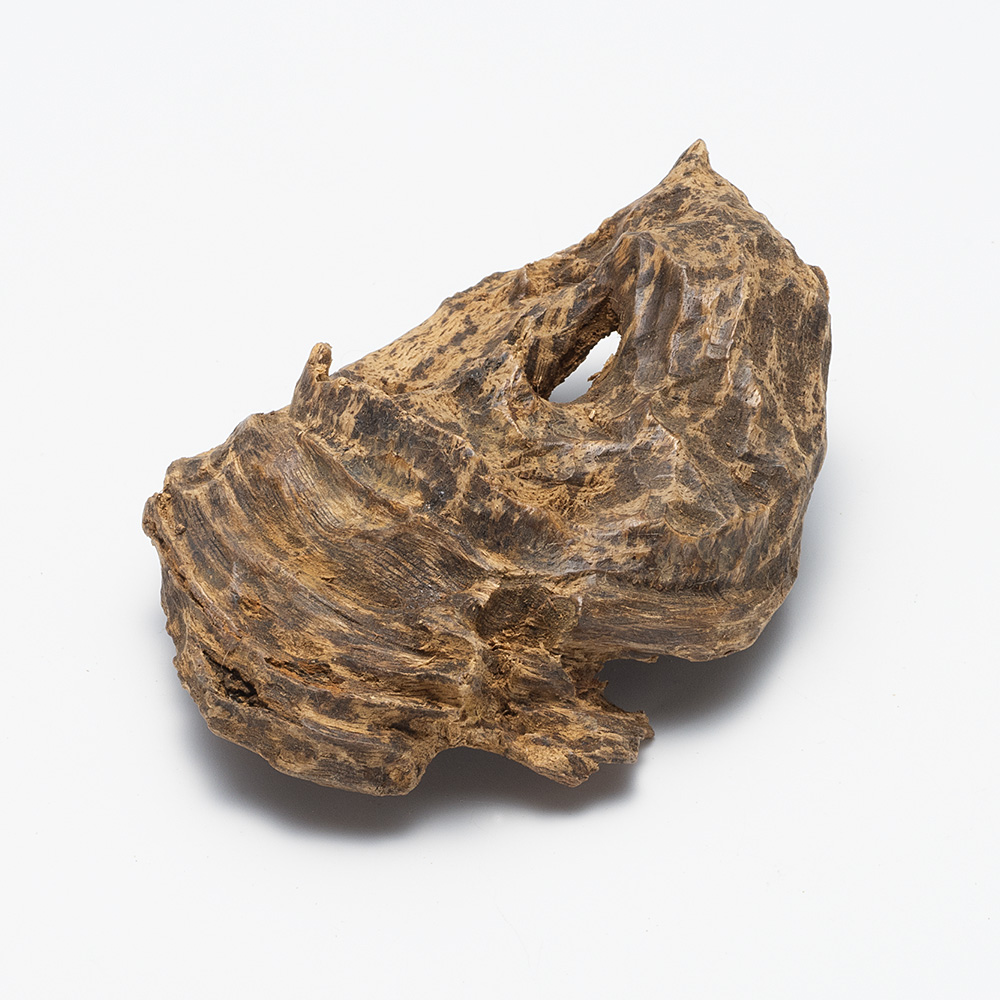 プレミアム沈香(じんこう) 原木姿物 沈水 極上タニ沈香 23g