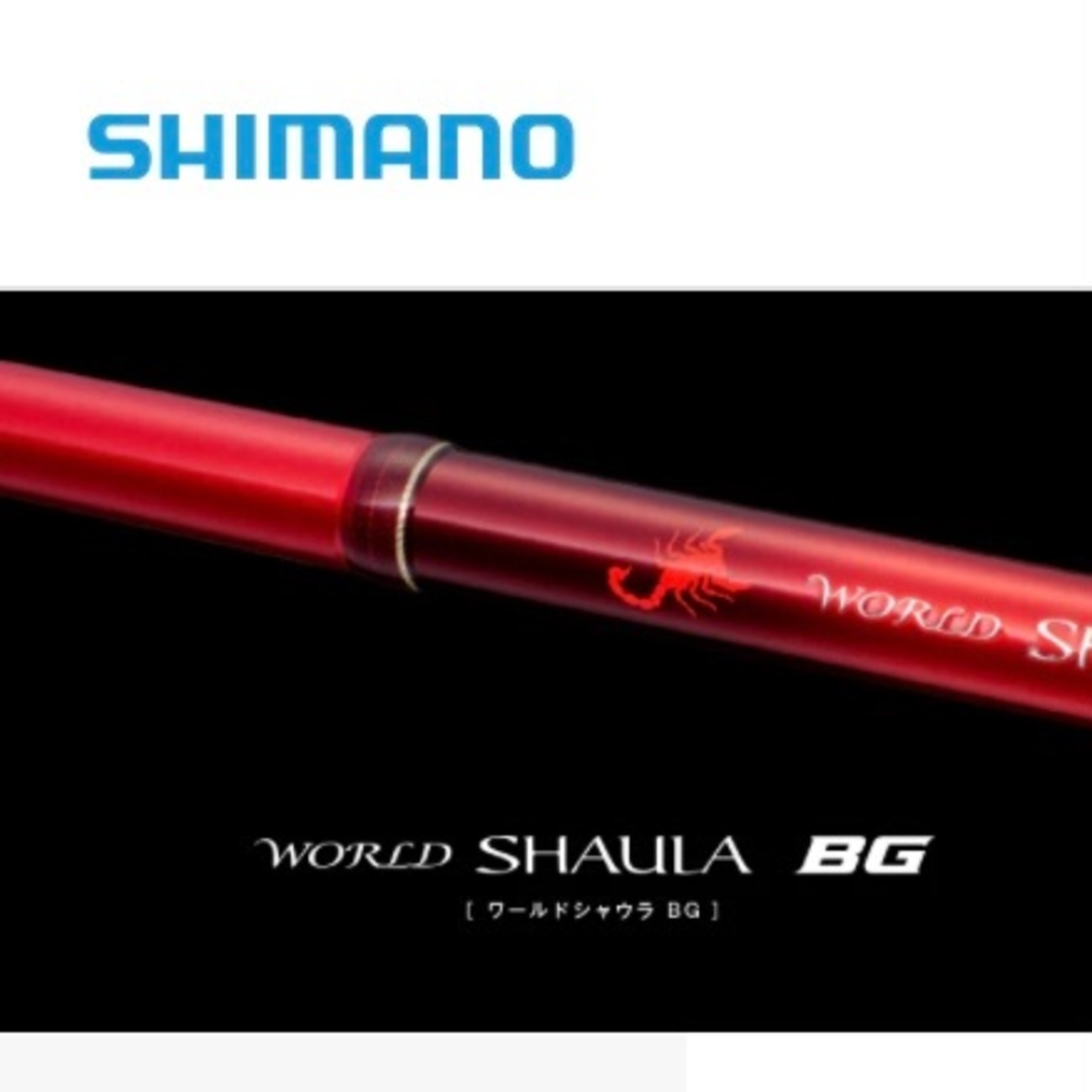 ワールドシャウラBG 21053R-3】ライトショアジギングで22ステラに