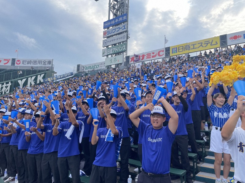 アルプススタンドも青一色 鮮やかユニホームの青藍泰斗 夏の甲子園