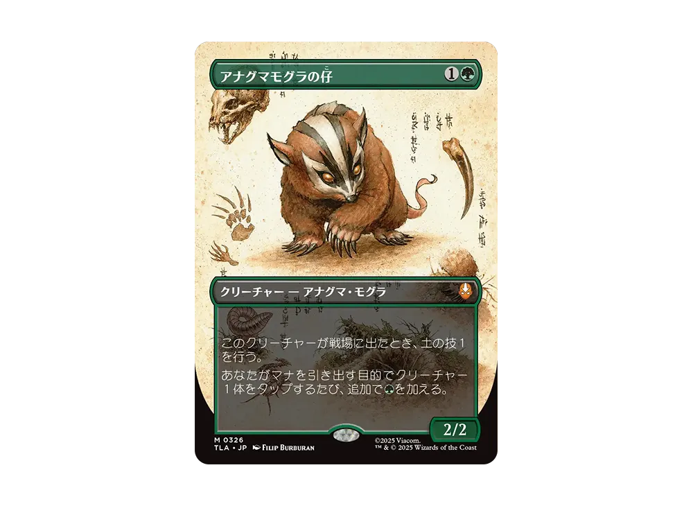 アナグマモグラの仔 日本語 MTG MTG アナグマモグラの仔 日本語版 拡張